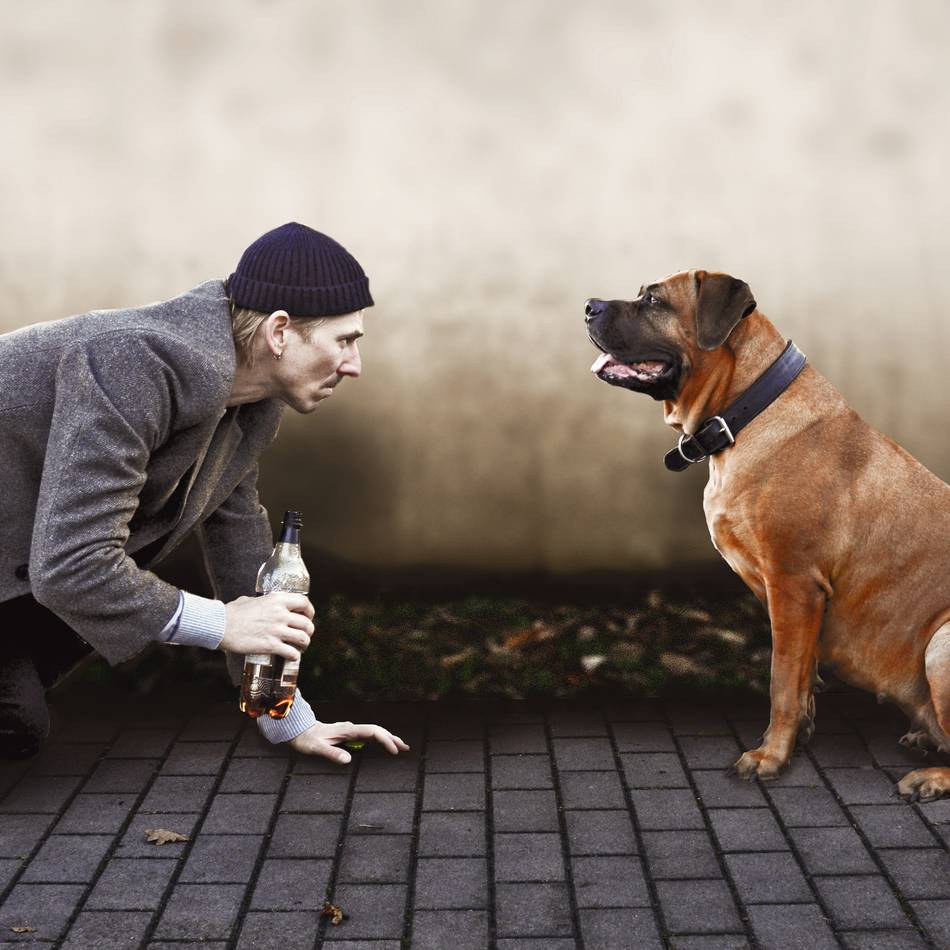 Theater in Radevormwald: Kult-Roman kommt auf die Bühne des Bürgerhauses