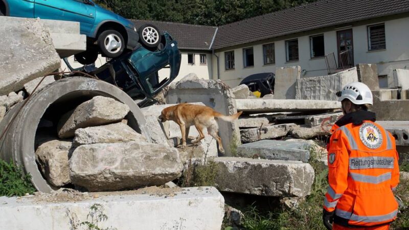 Mehrere Tage in Weeze: Kein Grund zur Sorge – Großeinsatz am Airport ist nur eine Übung