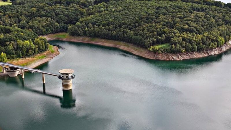 Von Straußenfarm bis Bergische Kaffeetafel: Zehn Dinge, die man 2026 in Wermelskirchen gemacht haben sollte
