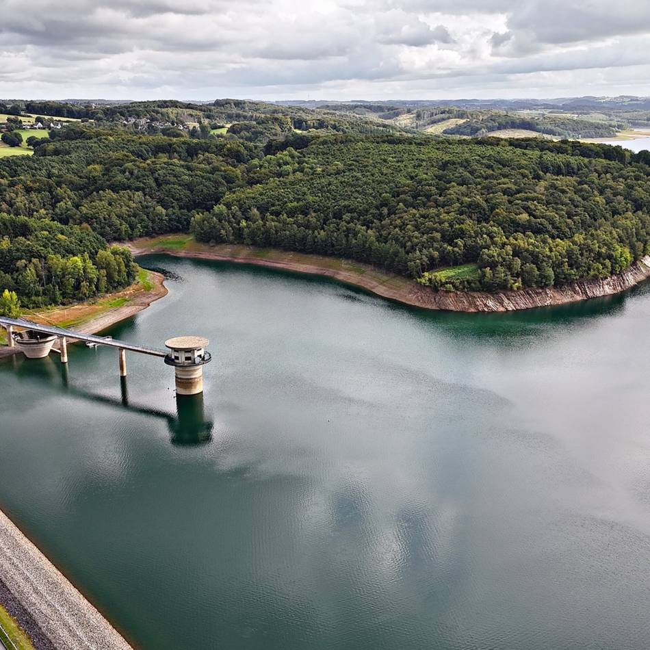 Von Straußenfarm bis Bergische Kaffeetafel: Zehn Dinge, die man 2026 in Wermelskirchen gemacht haben sollte