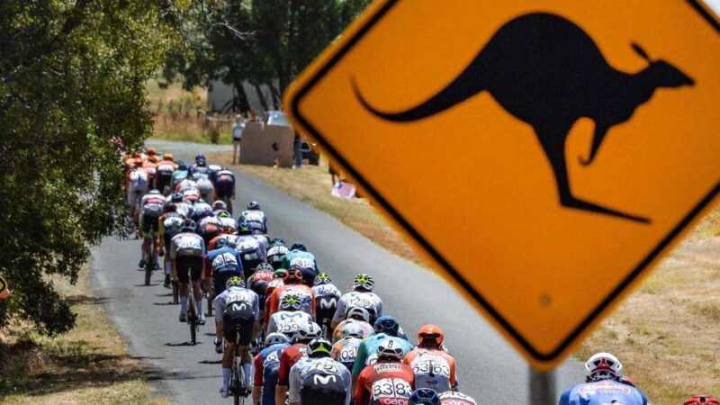 Zweiter Heim-Triumph für den Australier: Känguru-Crash „mit 50 km/h“ – Vine gewinnt Tour Down Under
