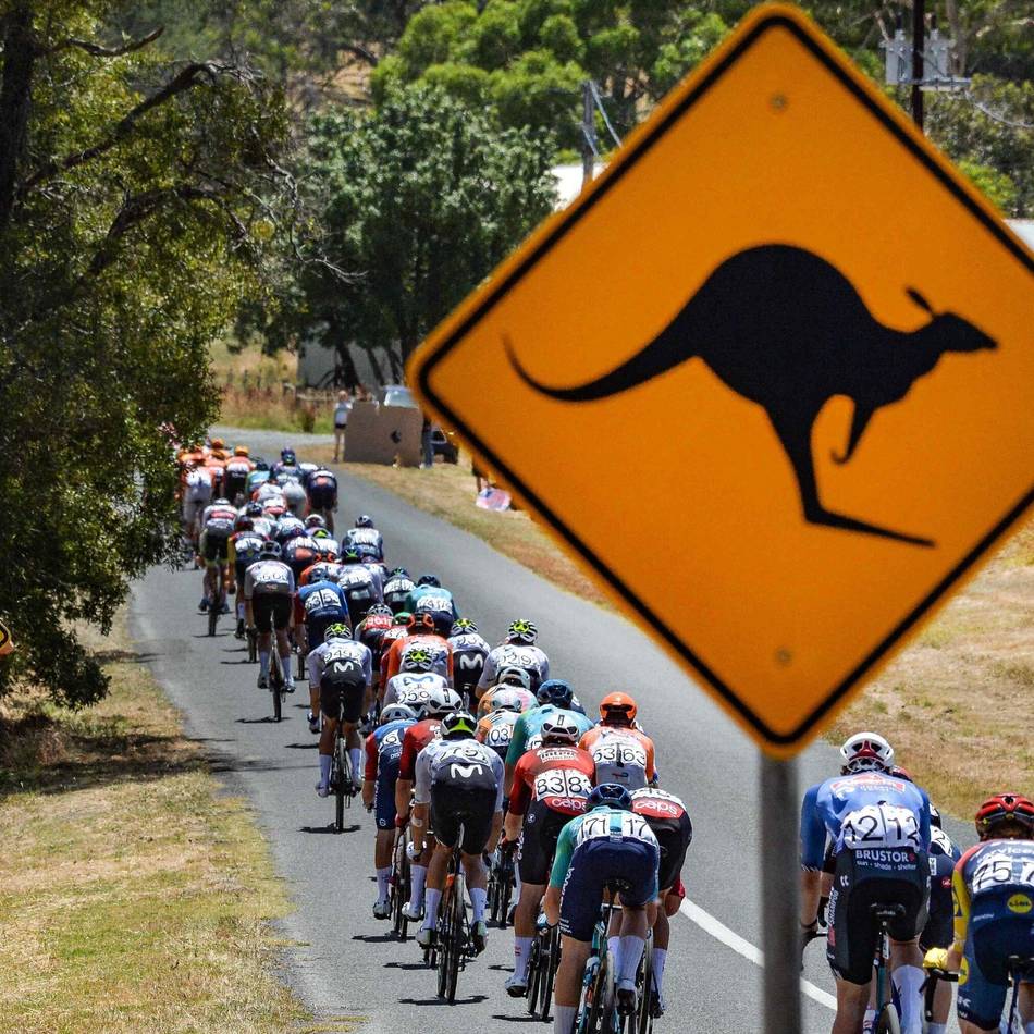 Zweiter Heim-Triumph für den Australier: Känguru-Crash „mit 50 km/h“ – Vine gewinnt Tour Down Under