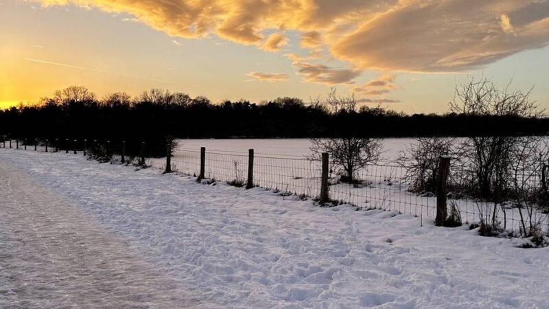 Naturpark Groote Heide in Venlo: Reise in eine einzigartige Winterlandschaft