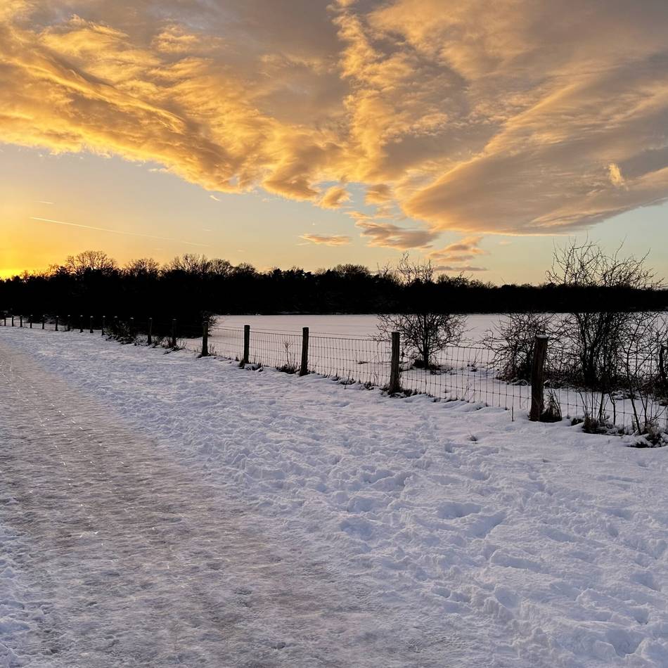 Naturpark Groote Heide in Venlo: Reise in eine einzigartige Winterlandschaft