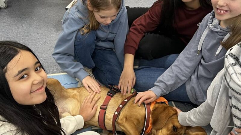 Friedrich-Ebert-Schule Ratingen: Ein Lehrer mit Fell und vier Pfoten