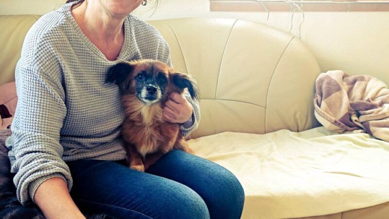 Toter Kater und ausgesetzte Katze im Kreis Viersen: „Manchmal schämt man sich, Mensch zu sein“