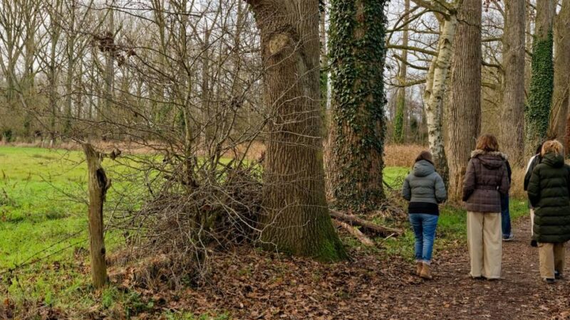 Neues Kursangebot in Niederkrüchten: Mit „Walk&Talk“ Englischkenntnisse verbessern