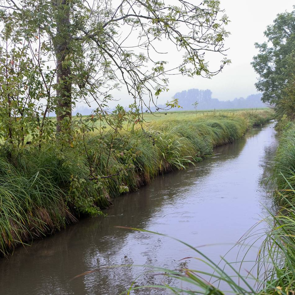 Zufluss der Erft im Rhein-Kreis Neuss: Der Gillbach führte nicht immer Wasser