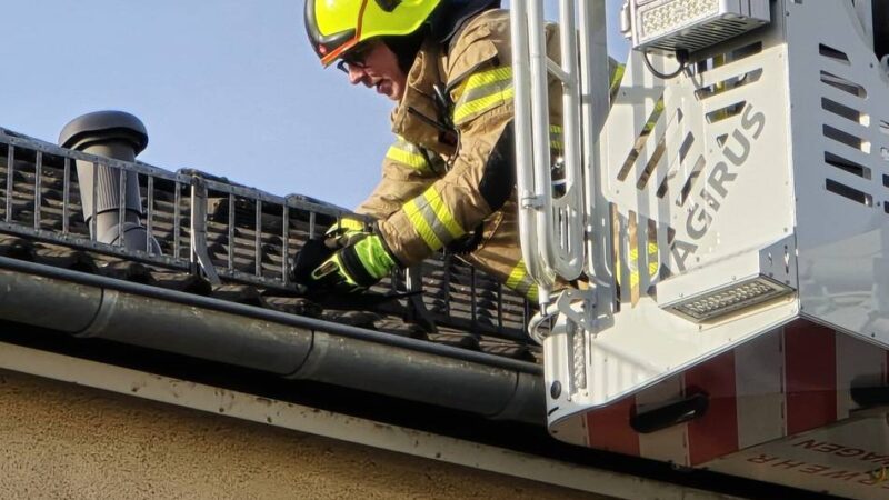 Letzter Einsatz 2025 in Hückeswagen: Feuerwehr rettet eingeklemmte Krähe von Hausdach