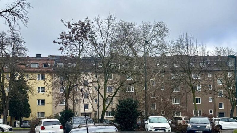 Bauarbeiten in Düsseldorf: Wenn der Kanal plötzlich zu klein wird