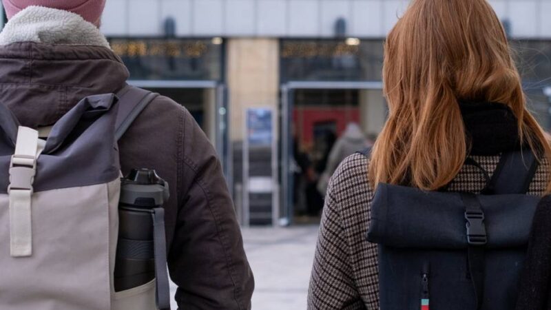 Die Bahn-Chroniken: Geschichten aus dem Pendler-Alltag