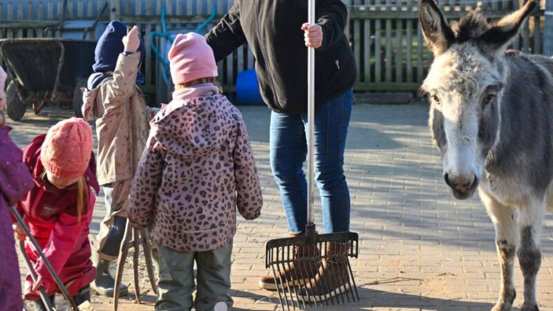 Naturnahe Erziehung in Willich: Zu Besuch im Bauernhofkindergarten