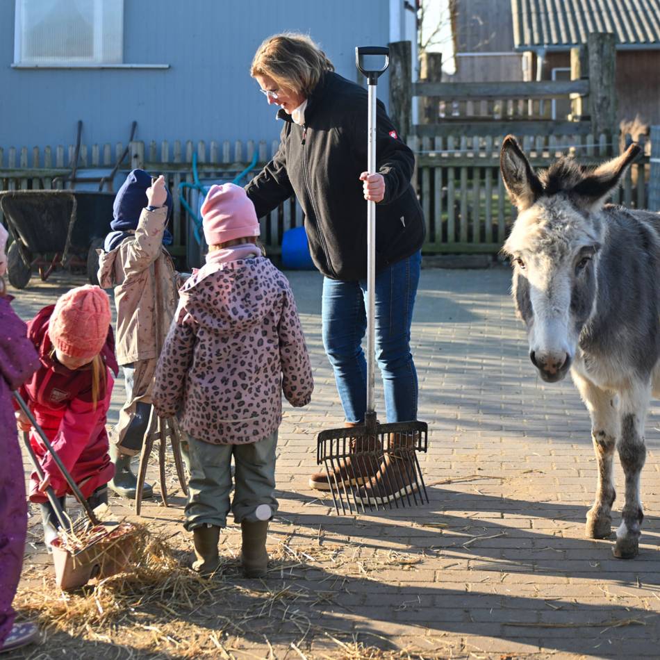 Naturnahe Erziehung in Willich: Zu Besuch im Bauernhofkindergarten