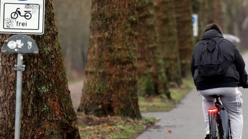2025 über 1,4 Milllionen Zählungen: Zahl der Radfahrer in Leverkusen erreicht neuen Rekordwert