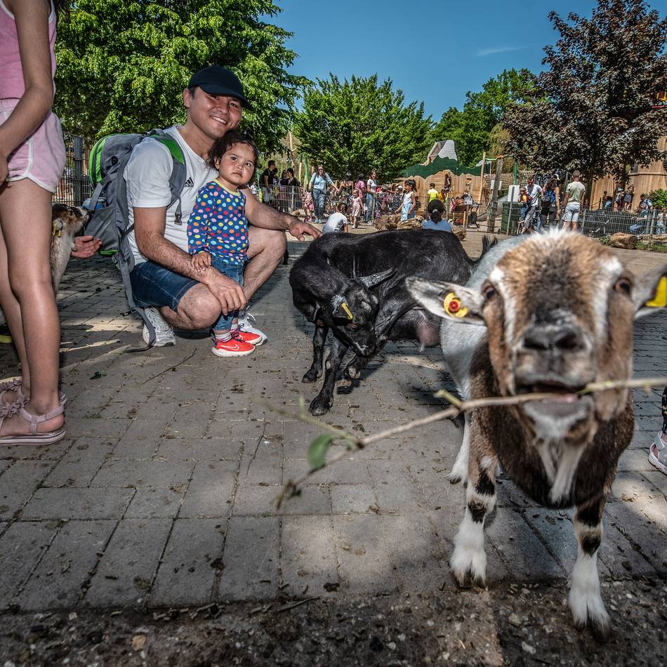 Zoo-Bilanz für 2025: Leichtes Besucherminus im Tiergarten – dennoch zweitbestes Jahr