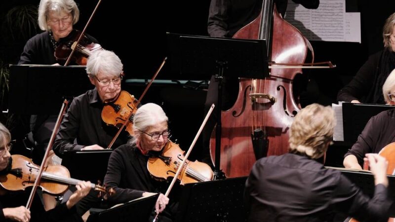 Kultur in Ratingen: Collegium Musicum probt für die anstehenden Konzerte