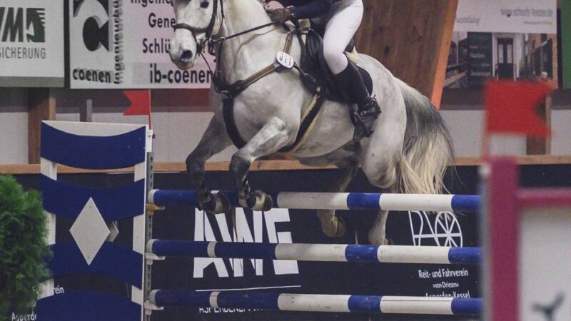 „Red Edition“ in Asperden: Geglückter Startschuss in die neue Reitsaison im Kreis Kleve