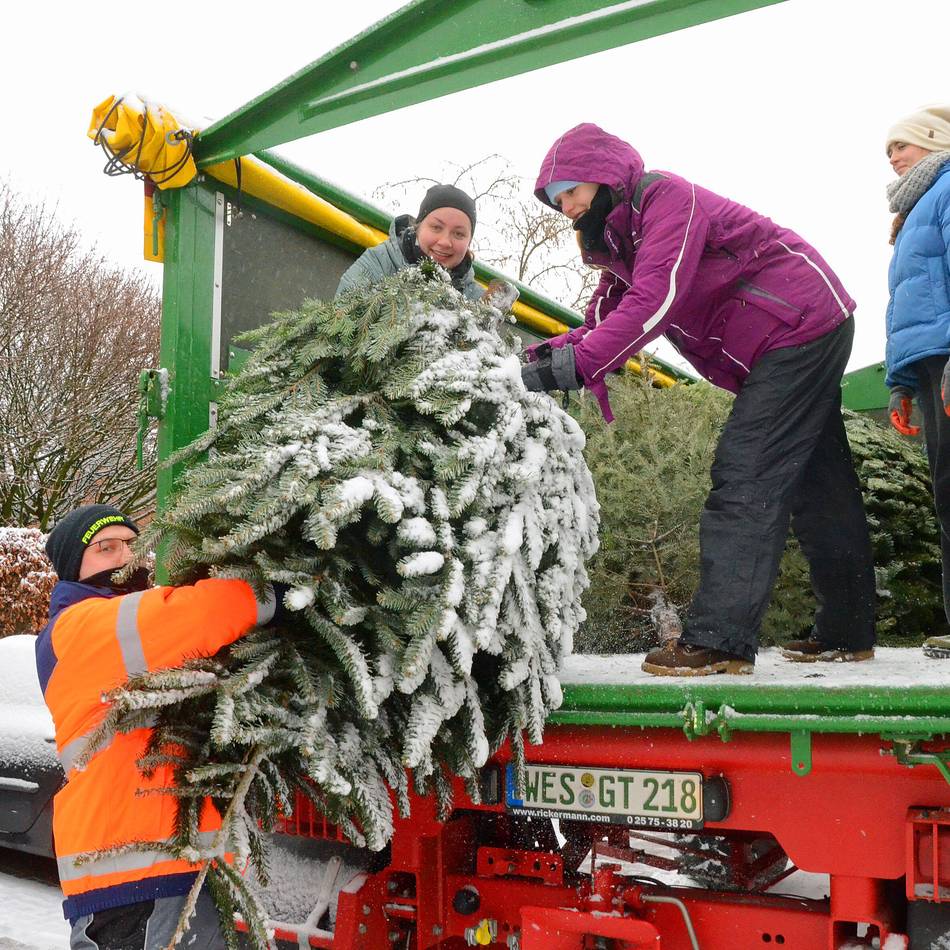 Lüttinger Landjugend sammelt Tannenbäume ein: Eine Aktion, die zusammenschweißt