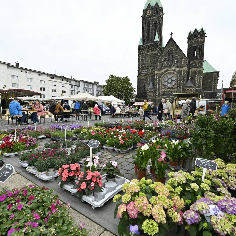 Kolumne Denkanstoß: Tue Dir und anderen was Gutes – geh‘ zum Wochenmarkt!