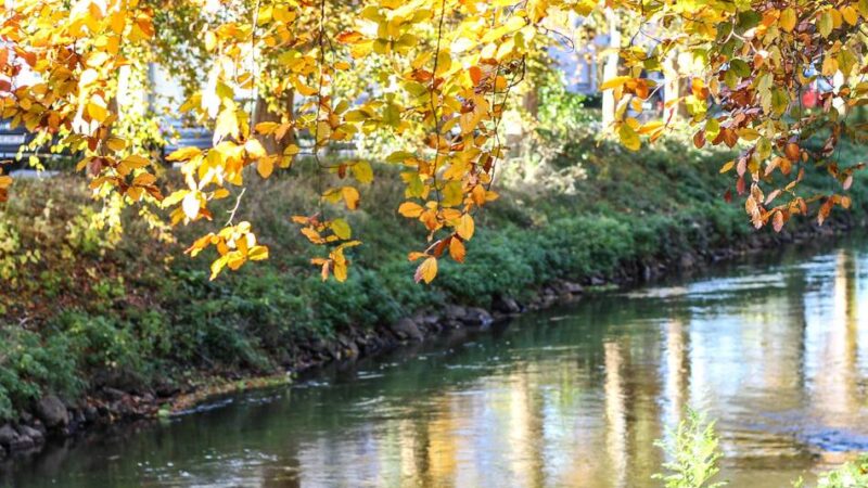 Erft-Umbau in Grevenbroich: Nicht-öffentlicher Termin löst deutliche Kritik aus