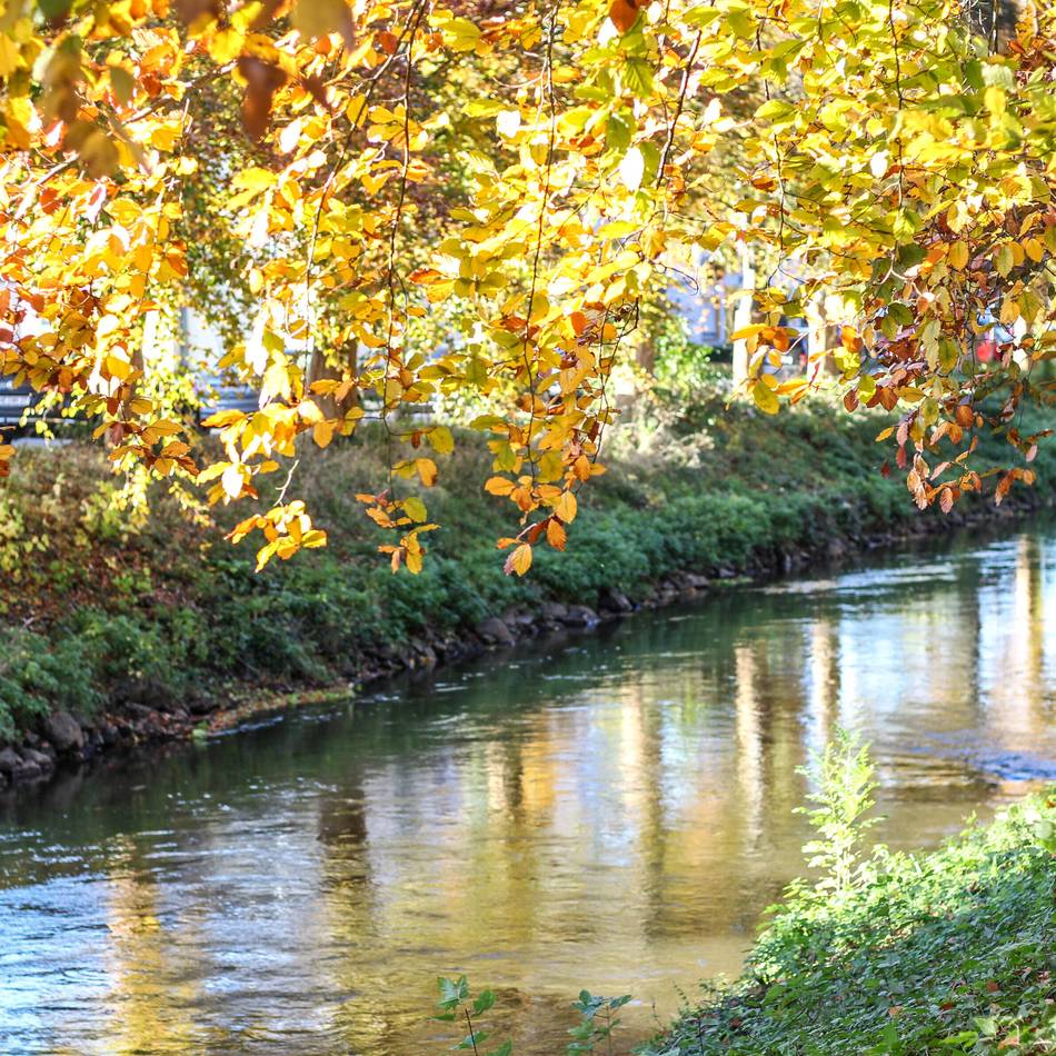 Erft-Umbau in Grevenbroich: Nicht-öffentlicher Termin löst deutliche Kritik aus
