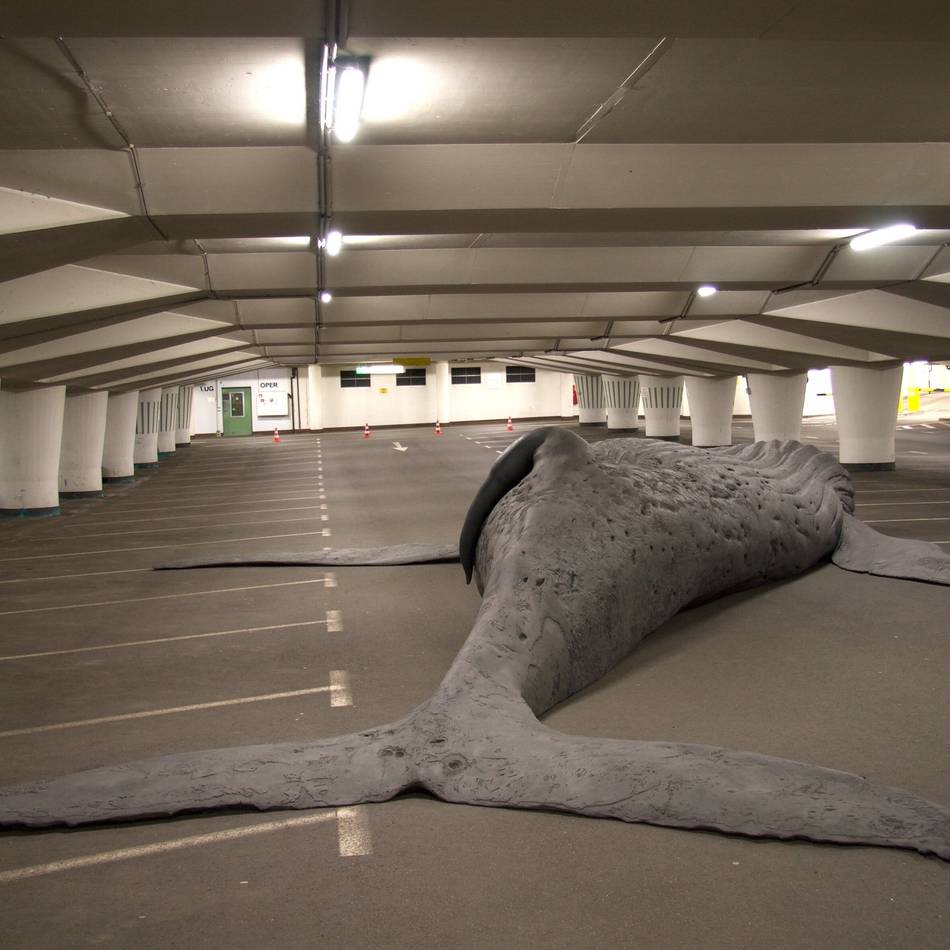 Überblick über Termine: Wal-Ausstellung im Xantener Dom wird von Programm begleitet