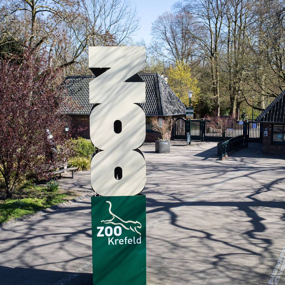 Öffnung im Zoo Krefeld: Zoo ist offiziell wieder vogelgrippefrei – alle Häuser öffnen