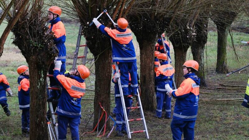 Aktion in Heiligenhaus: Nabu und Jugendfeuerwehr schneiden Kopfweiden
