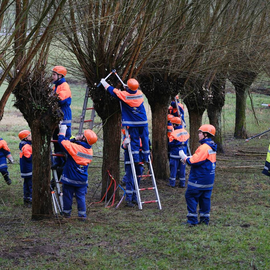 Aktion in Heiligenhaus: Nabu und Jugendfeuerwehr schneiden Kopfweiden