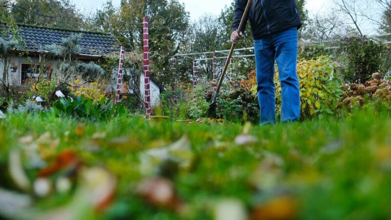 Mit Klaus Mönch durchs Gartenjahr: Gärtner machen auch im  Januar keine Pause