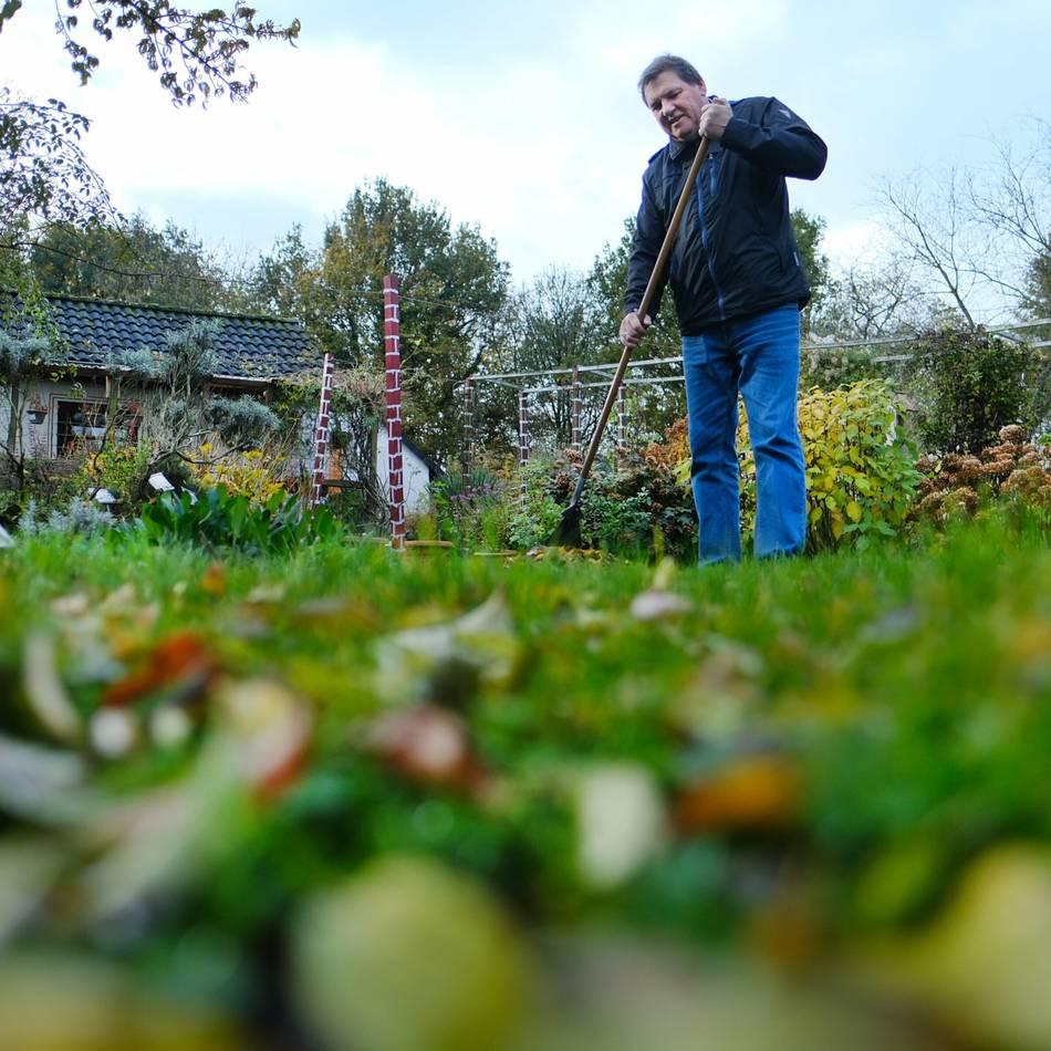 Mit Klaus Mönch durchs Gartenjahr: Gärtner machen auch im  Januar keine Pause