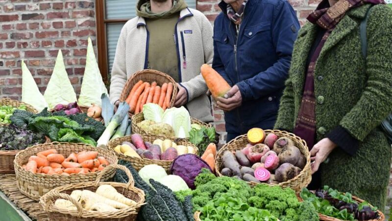 Landwirt und Ernährungsberaterin in Mönchengladbach: Die Apotheke vom Acker – warum Wintergemüse so wertvoll ist