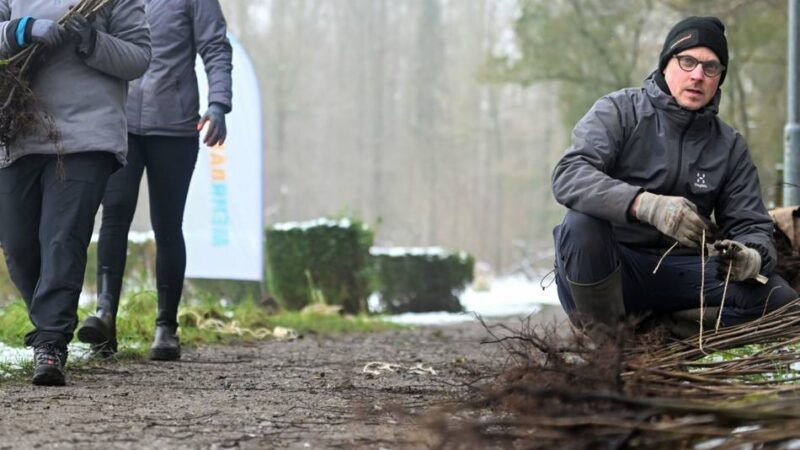 Aktion „Mehr Bäume jetzt“ im Kreis Viersen: Helfer retten Setzlinge aus Neersener Schlosspark