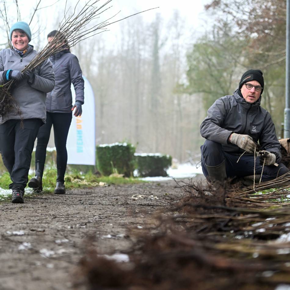 Aktion „Mehr Bäume jetzt“ im Kreis Viersen: Helfer retten Setzlinge aus Neersener Schlosspark