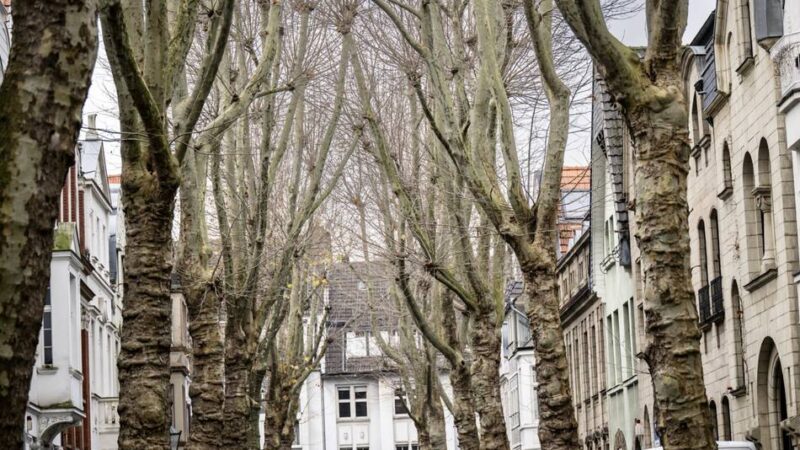 Ein Stadtteil sticht heraus: Hier stehen die meisten Baudenkmäler in Düsseldorf
