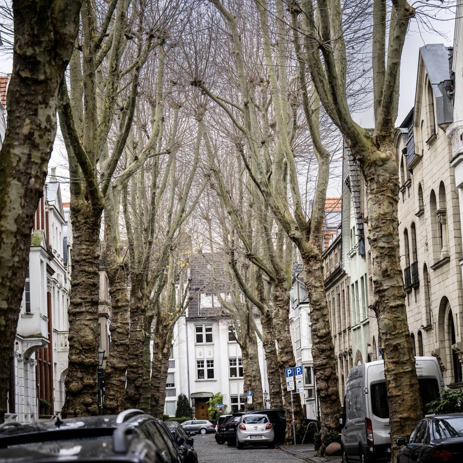 Ein Stadtteil sticht heraus: Hier stehen die meisten Baudenkmäler in Düsseldorf