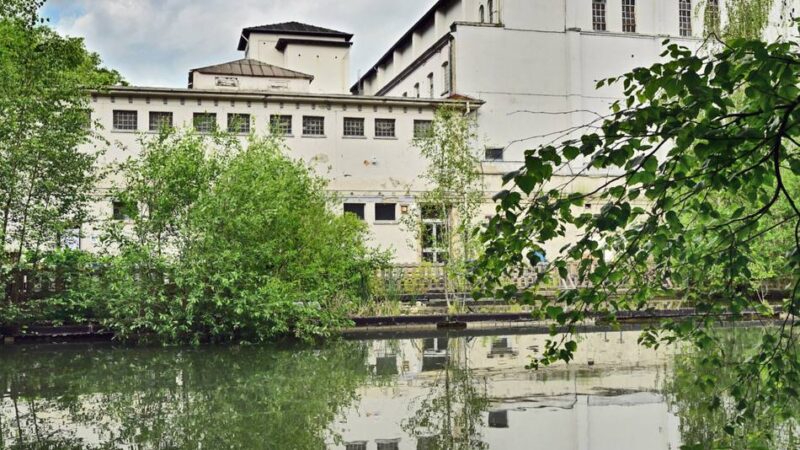 Ehrenamt in Krefeld: Freischwimmer starten Projektaufruf für 2026