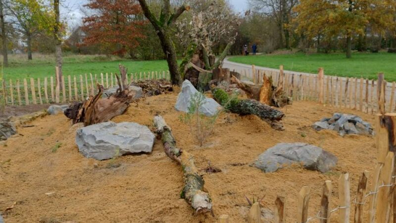 Neues „Sandarium“ am St.-Eustachius-Platz: Stadt Kaarst schafft neuen Lebensraum für Insekten
