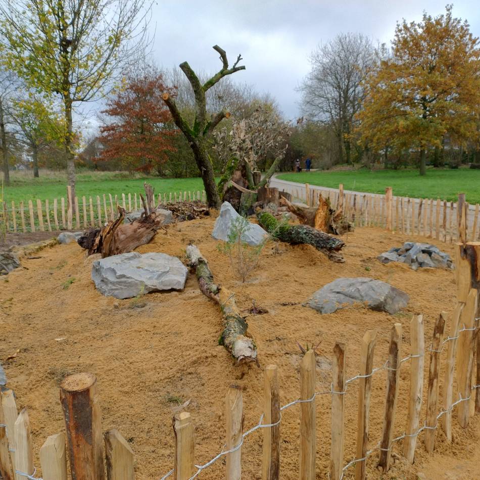 Neues „Sandarium“ am St.-Eustachius-Platz: Stadt Kaarst schafft neuen Lebensraum für Insekten