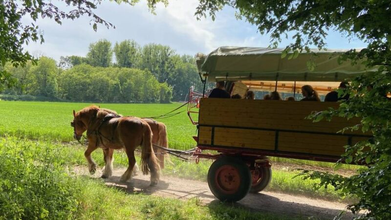 Freizeit in Monheim: Das hat das Haus Bürgel im ersten Halbjahr 2026 zu bieten