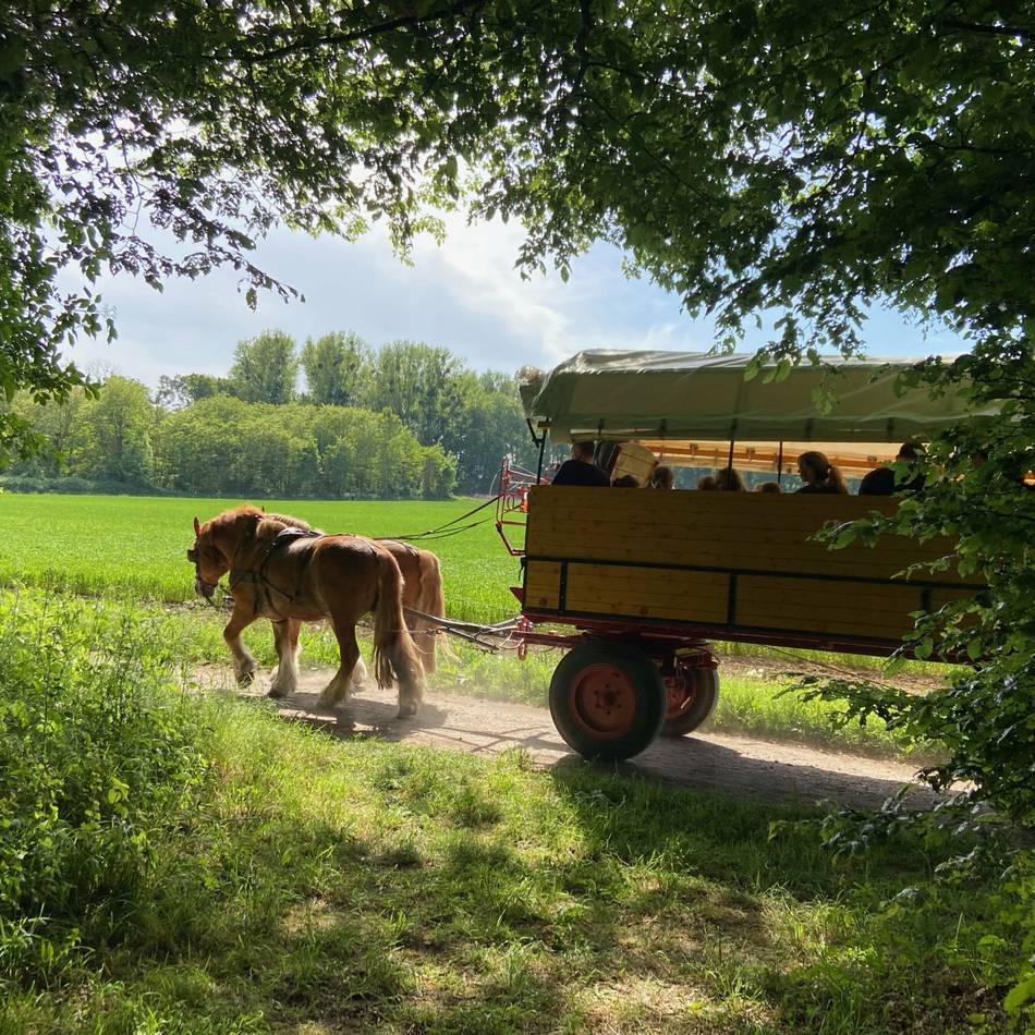 Freizeit in Monheim: Das hat das Haus Bürgel im ersten Halbjahr 2026 zu bieten