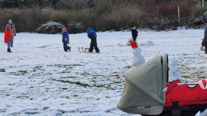 Weiße Pracht in Düsseldorf: Schlittenfahrt im Hofgarten – der erste Schnee des Jahres