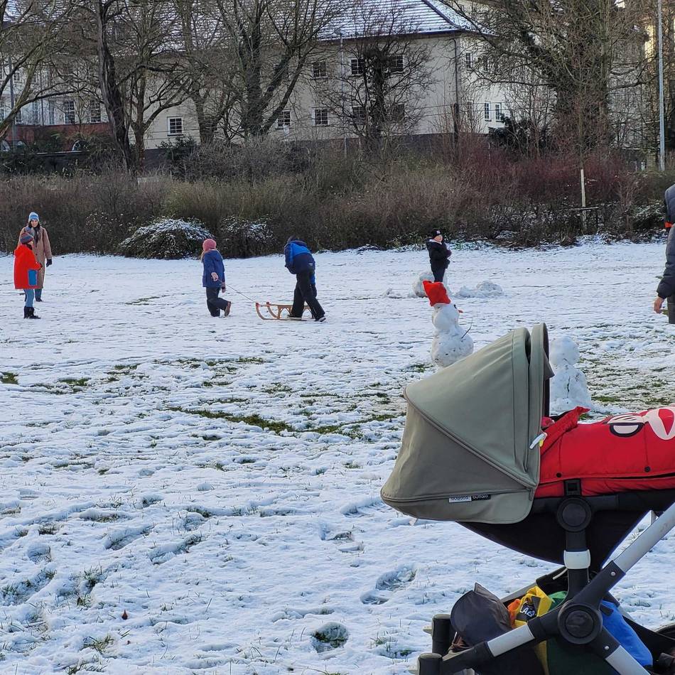 Weiße Pracht in Düsseldorf: Schlittenfahrt im Hofgarten – der erste Schnee des Jahres