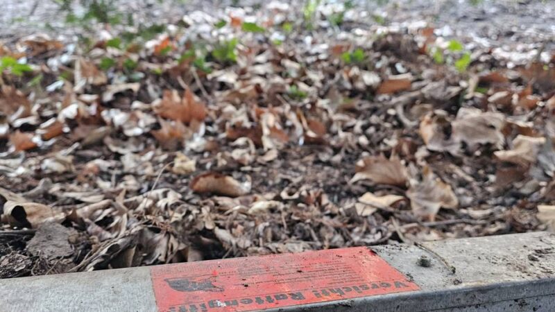 Schädlingsbekämpfung in Mönchengladbach: „Ich gehe hier nicht mehr lang“