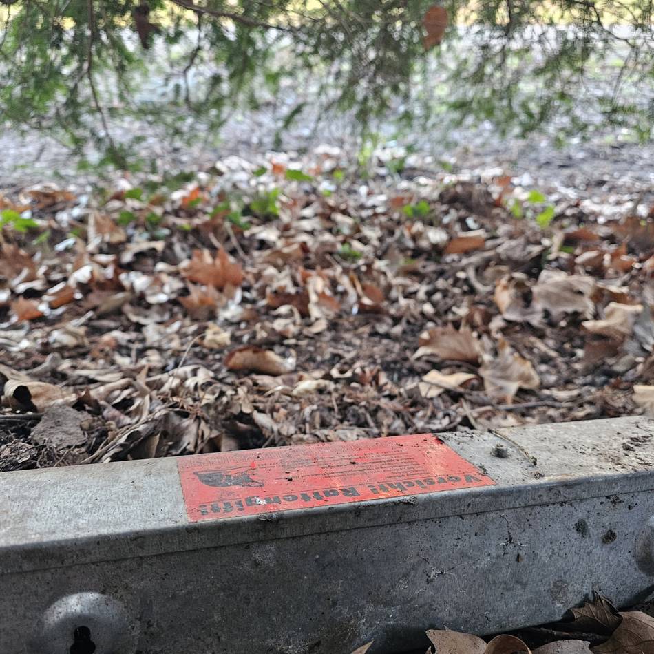 Schädlingsbekämpfung in Mönchengladbach: „Ich gehe hier nicht mehr lang“