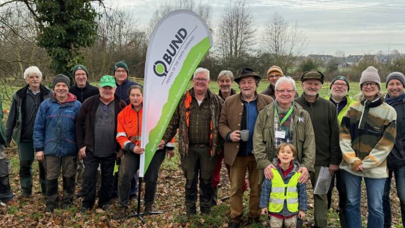 Pflanzaktion in Korschenbroich: Schwarzpappeln, Weiden und Faulbaum für Auenwald