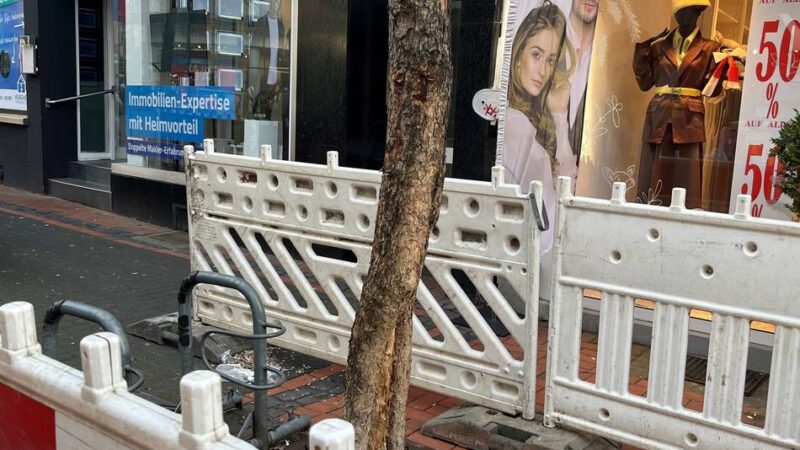 Absperrungen in Hildens Fußgängerzone: Wo sind die Bäumchen hin?