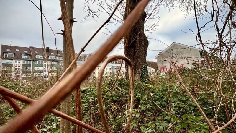 Immobilien in Düsseldorf: Irritation um neuen Standort für Gerresheimer Bücherei