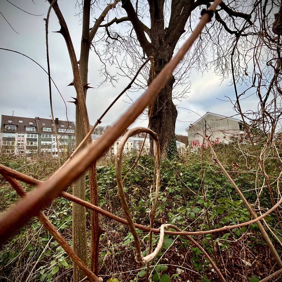 Immobilien in Düsseldorf: Irritation um neuen Standort für Gerresheimer Bücherei