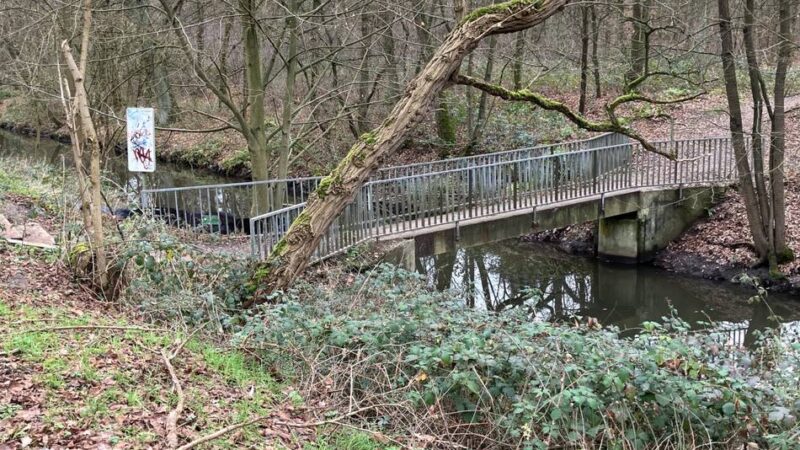 Entscheidung über Brücken-Neubau am Kaarster See vertagt: „Dafür so viel Geld auszugeben, ist Wahnsinn“